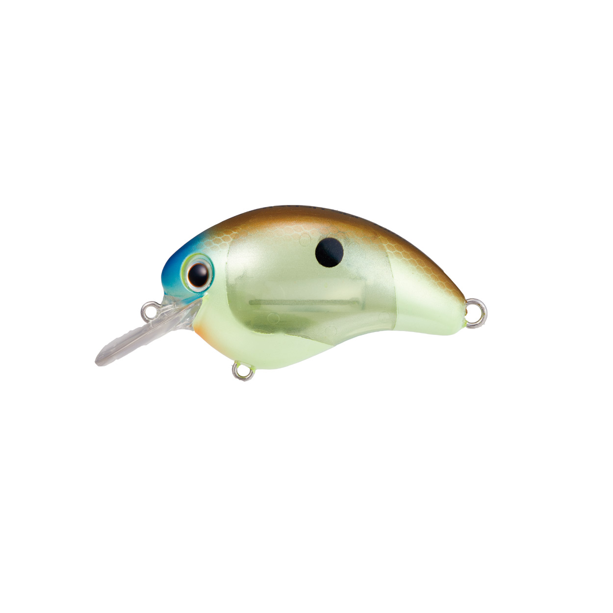 Shimano Bantam World Rush 56F Flash Boost